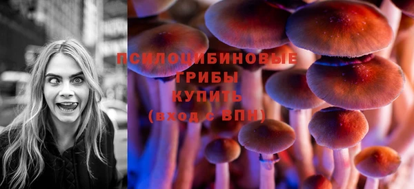 крисы Баксан