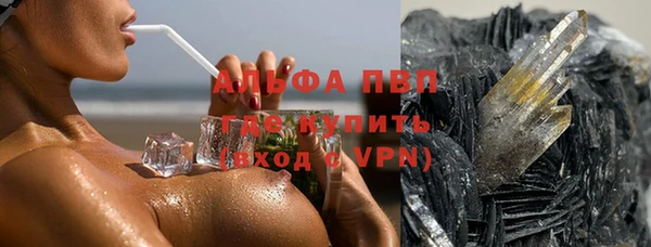 крисы Баксан