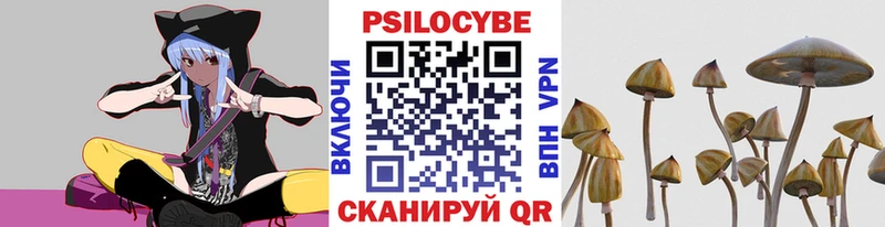 Псилоцибиновые грибы прущие грибы где найти наркотики Кулебаки